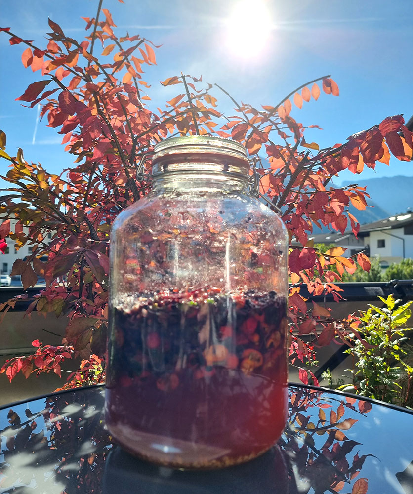 Hagebuttenoxymel Holunder Rezept - Kräuter-Herz Achensee