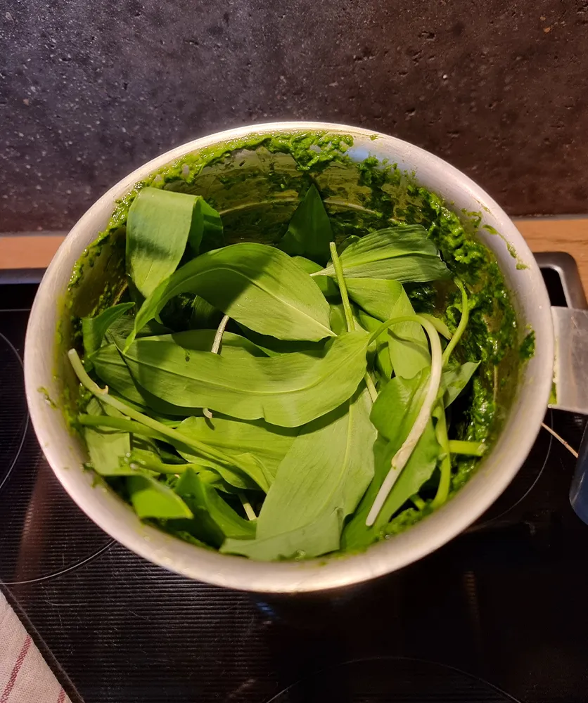 Bärlauchpesto - Bärlauch mixen